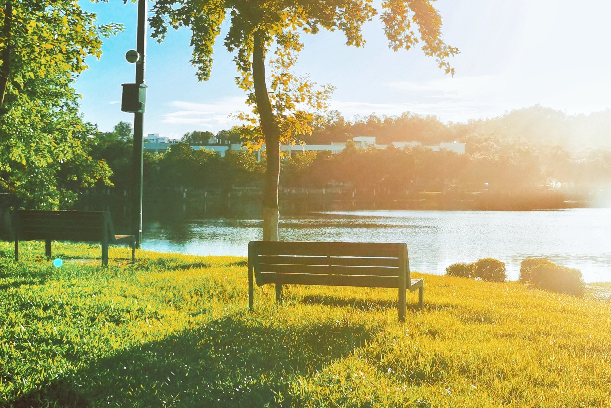 cac71ff3b7994a449ca00184772b6629