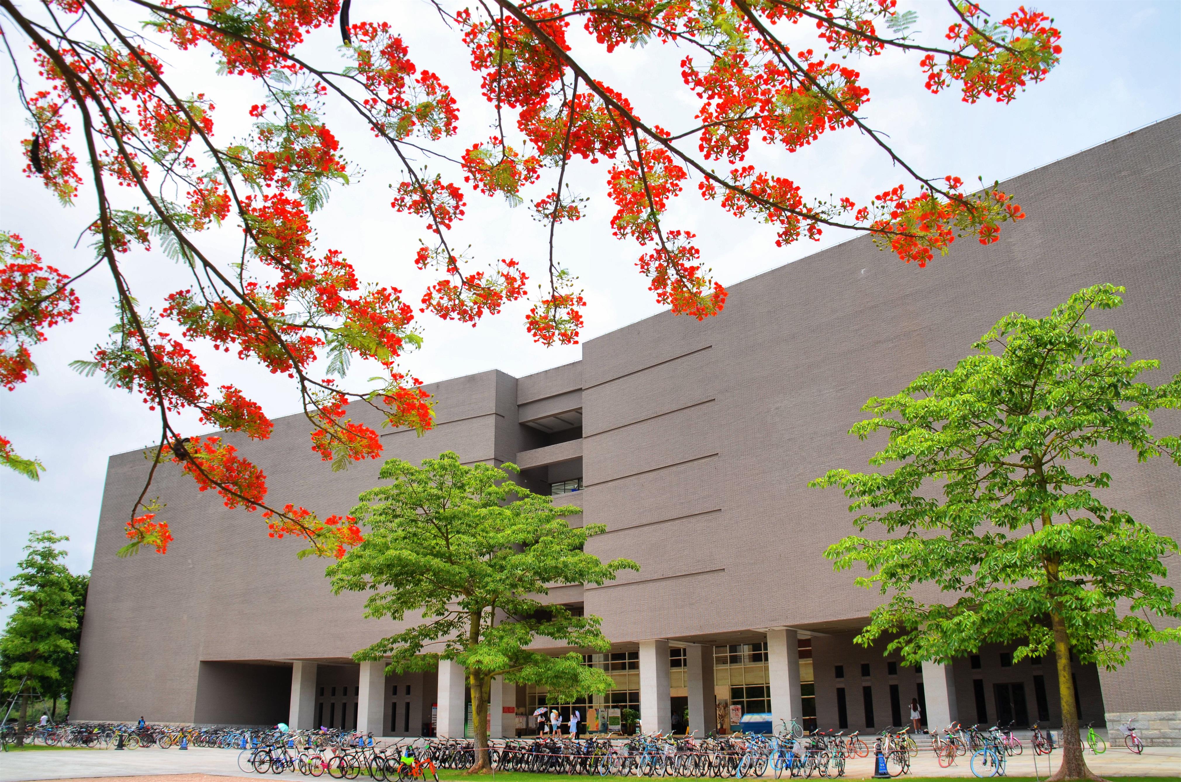 f5cecb5ed17b4bca873c1e599da10dcb