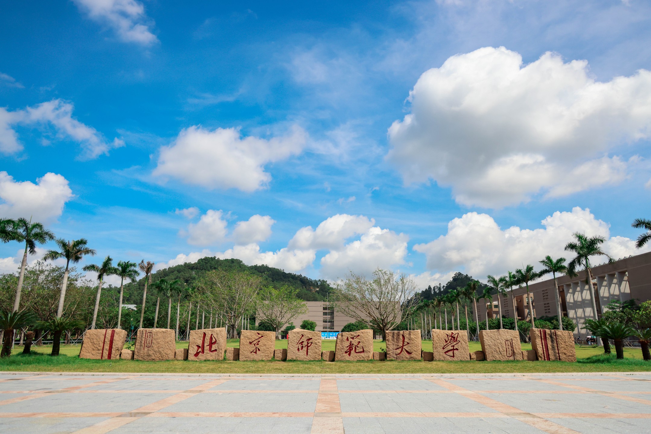 cd0b50479ffc4c0d8afacb6cae72a50d