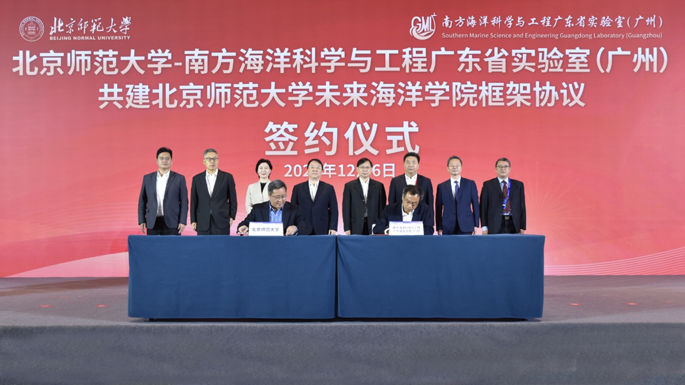 cae42150618943ee82ef0ba01a406a88